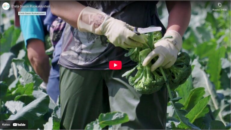 Referenssi - Etelä-Savon ruokaklusteri markkinointivideo